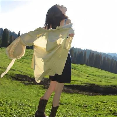 再战板球梦